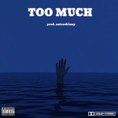 TOO MUCH | Boomplay Music