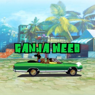 Ganja weed