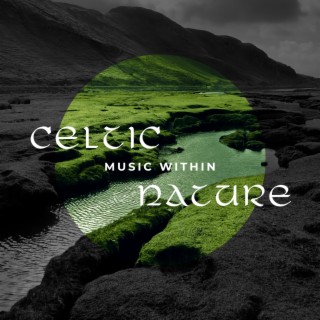 Celtic Music Within Nature: Relaxation Sounds, Relief Time, Healthy Mind, Irish Flute, Celtic Harp