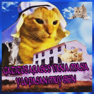 Gatitos árabes van a masia y lo pasan muy bien uwu