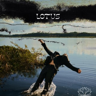 Lotus lyrics | Boomplay Music
