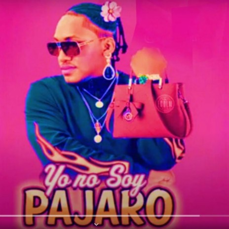 Yo No Soy Pajaro No ft. Luty El Chamako, Cristian Facker, El Chacra & El Crock | Boomplay Music