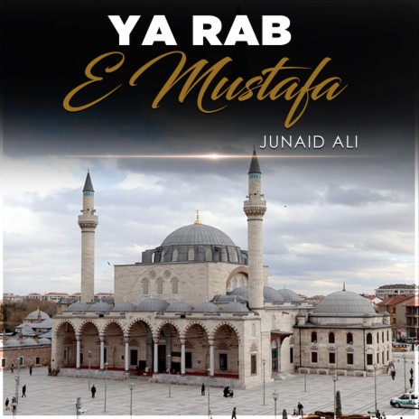 Ya Rab e Mustafa | Boomplay Music