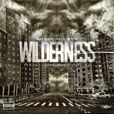 Wilderness ft. TipTop | Boomplay Music