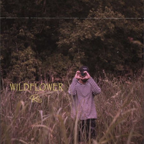 wildflower | Boomplay Music