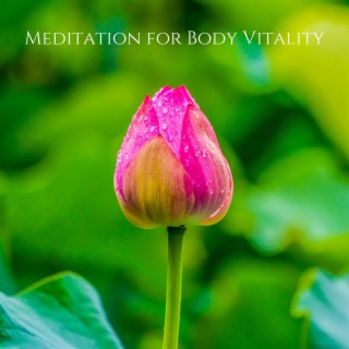 Meditation for Body Vitality: Recovery, Powerful Healing Music