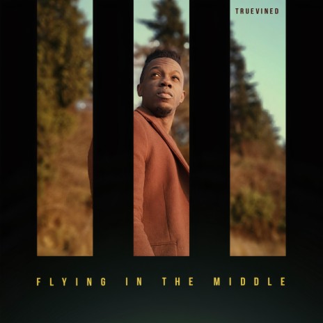 Flying in the Middle | Boomplay Music