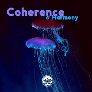 Coherence & Harmony