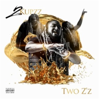 Two Z'z