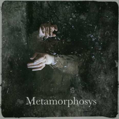 Metamorphosys | Boomplay Music