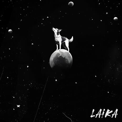 laika