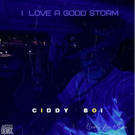 I Love A Good Storm | Boomplay Music