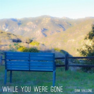 While You Were Gone