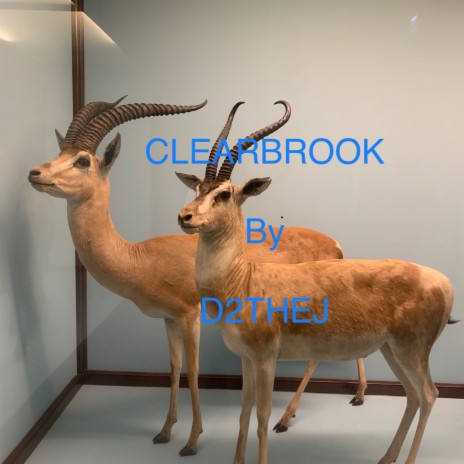 CLEARBROOK | Boomplay Music