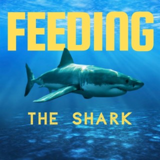 Feeding the shark (Alternative Version)