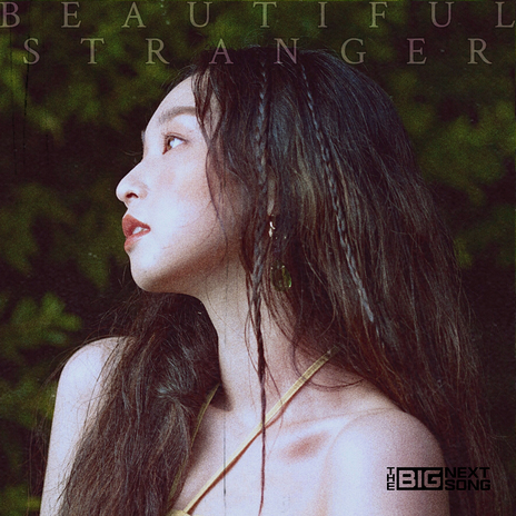 Beautiful Stranger | Boomplay Music