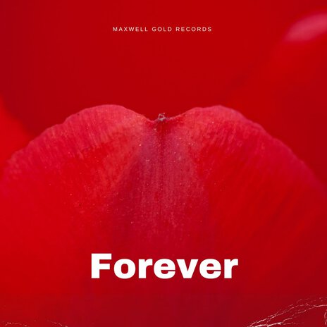 Forever | Boomplay Music