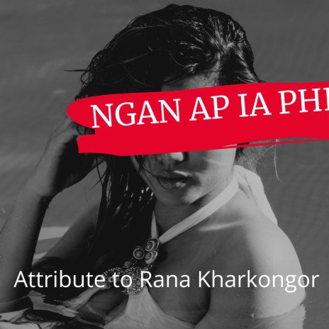 NGAN AP IA PHI | Boomplay Music
