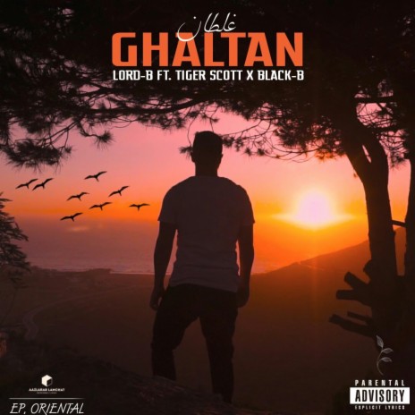 Ghaltan (feat. Tiger Scott & Black-b) | Boomplay Music