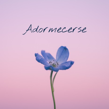 Adormecerse | Boomplay Music