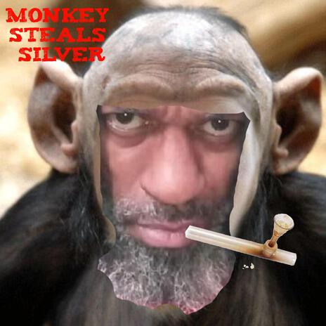 Monkey Steals Silver | Boomplay Music