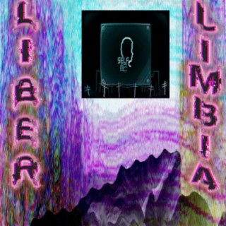 Episode 32767: Liber Limbia Vol. 705 Chapter 2: Self remote.