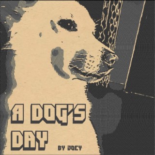 A Dog's day