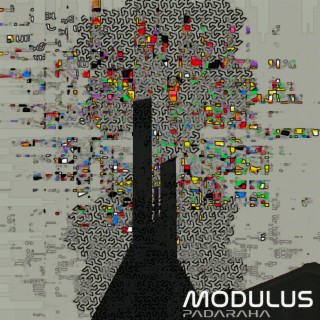 Modulus