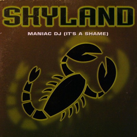 Maniac DJ (It's a Shame) (Sky Radio Edit) | Boomplay Music