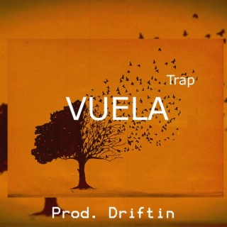 VUELA (Instrumental Trap Piano)