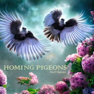 Homing Pigeons