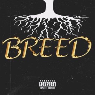 Breed