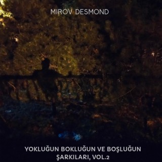 Yokluğun Bokluğun ve Boşluğun Şarkıları, Vol. 2 lyrics | Boomplay Music