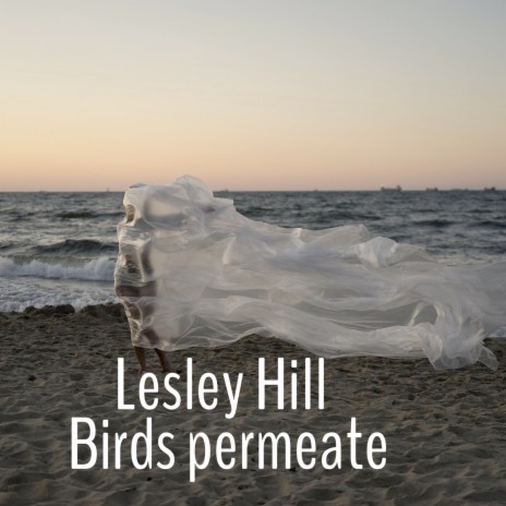 Birds Permeate | Boomplay Music