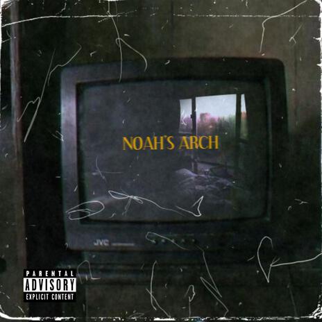 Noah's Arc