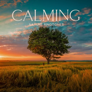 Calming Nature Ringtones