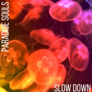 SLOW DOWN