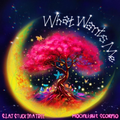 What Wants Me ft. Moonlight Scorpio | Boomplay Music