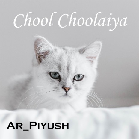 Chool Choolaiya | Boomplay Music