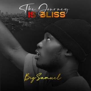 The Journey Is Bliss lyrics | Boomplay Music