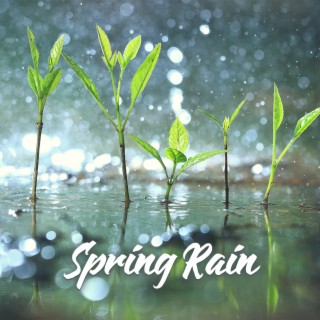 Spring Rain: Meditation for Regeneration & New Energy