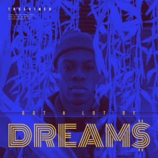 Got a Lot of Dreams lyrics | Boomplay Music