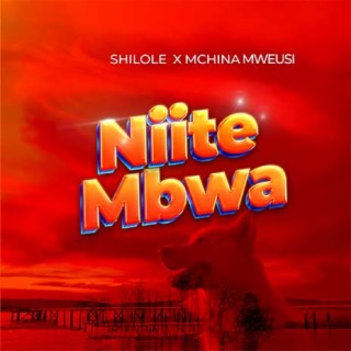 Niite Mbwa w/ Mchina Mweusi lyrics | Boomplay Music