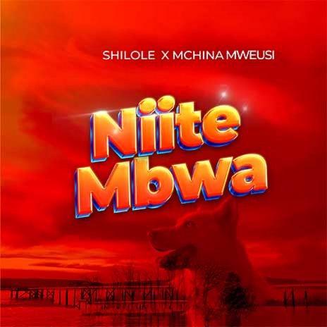 Niite Mbwa w/ Mchina Mweusi