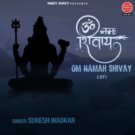 Om Namah Shivay-Lofi