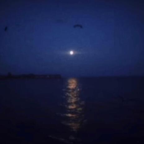 moonlight | Boomplay Music