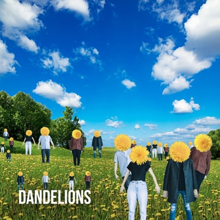 Dandelions lyrics | Boomplay Music