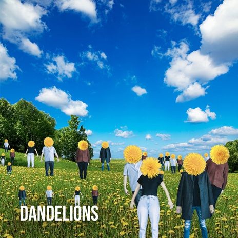 Dandelions