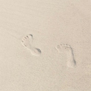 Delicate Footprints In The Sands