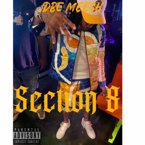 Section 8 | Boomplay Music